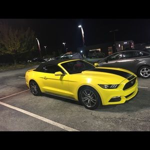 Meet your Posher, Gary